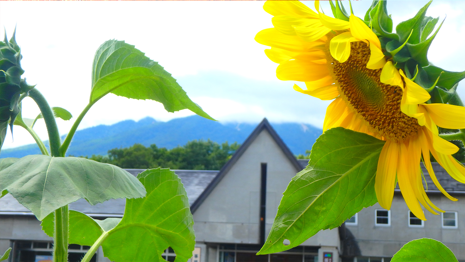 国立妙高青少年自然の家(新潟県妙高市)